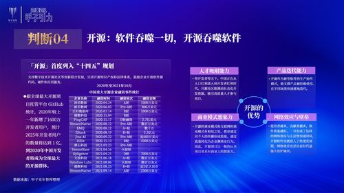 张一甲 2021中国数字经济50条判断