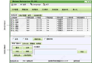 网络人企业版 网络人远程控制软件企业版下载 v6.491官方版